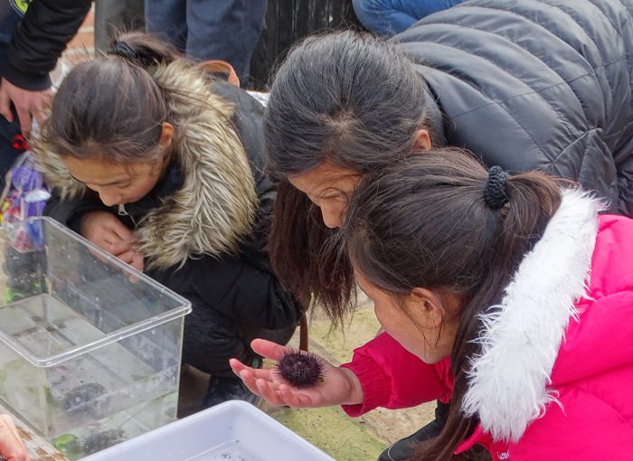 Une bouffée d’air frais : rencontre avec des écoliers du Ladakh