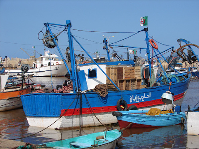 Images d’Algérie maritime (annonce)